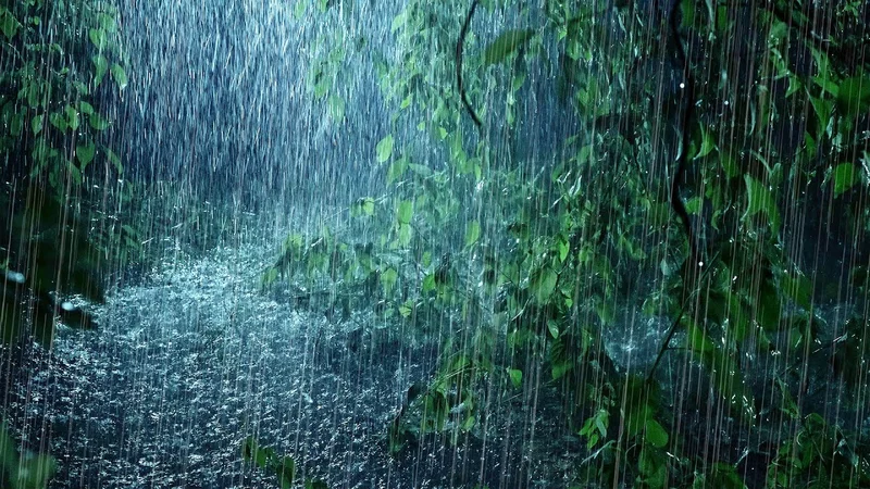 Rain: Decoding the Forecast & Mastering the Elements